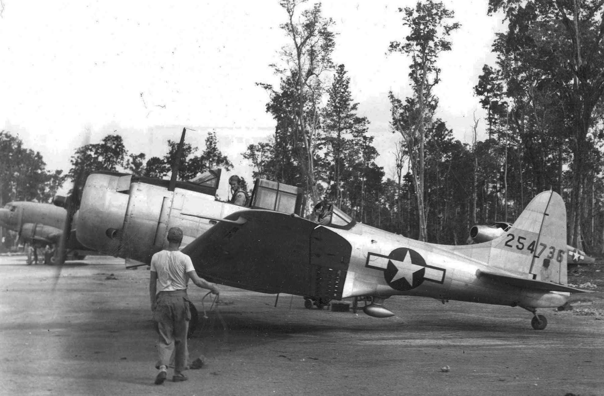 Douglas A-24B Banshee (Version USAAF du SBD Dauntless) -- Photo USAAF. -
