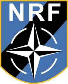 nrf logo 2 1