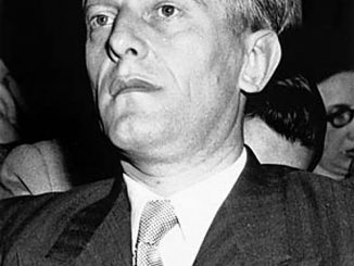 Otto Abetz, Ambassadeur du Reich à PAris