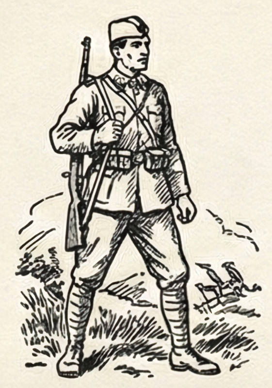 - Partisan albanais Partisan albanais ¡ Illustration © European-Security