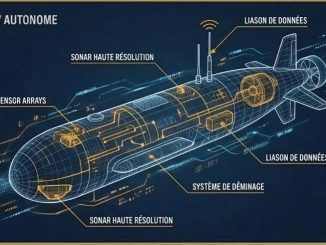 Infographie © European-Security