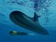 BS_DEF_3D-Submarine-Torpedo_1971ye